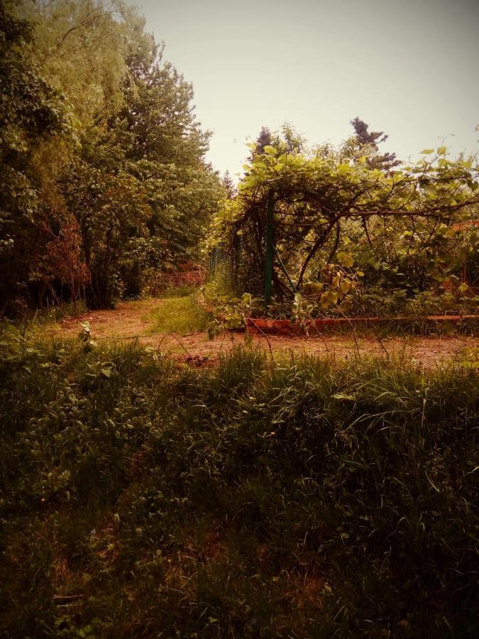 צ'כוב Agroturystyka U Babci מראה חיצוני תמונה